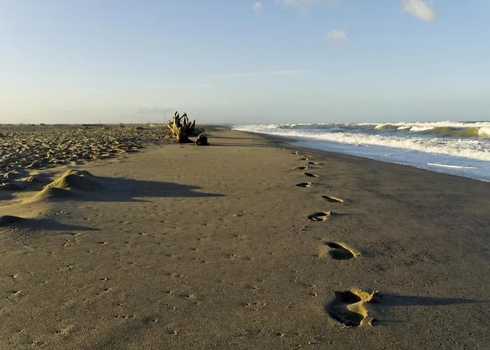 索罗酒店 维亚雷焦