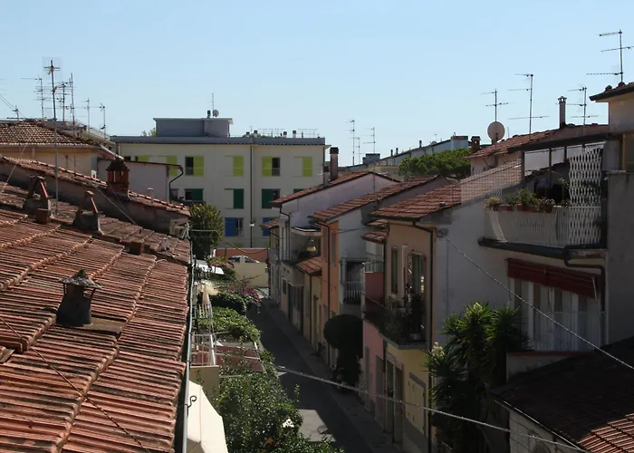 Otel Sauro Viareggio