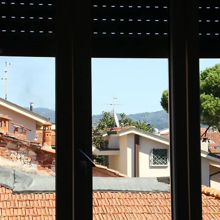 Sauro Viareggio